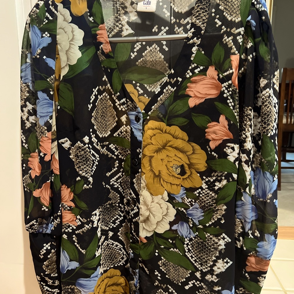 Cabi sheer blouse